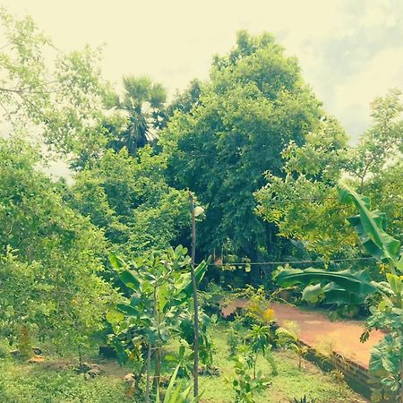 Oleena Home Stay 하바라나 외부 사진