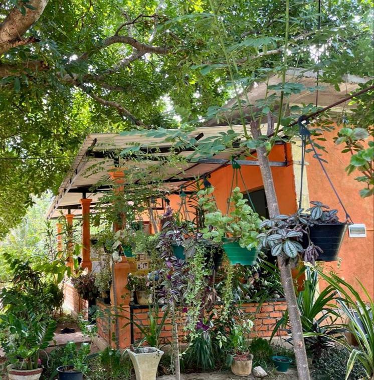 Oleena Home Stay 하바라나 외부 사진