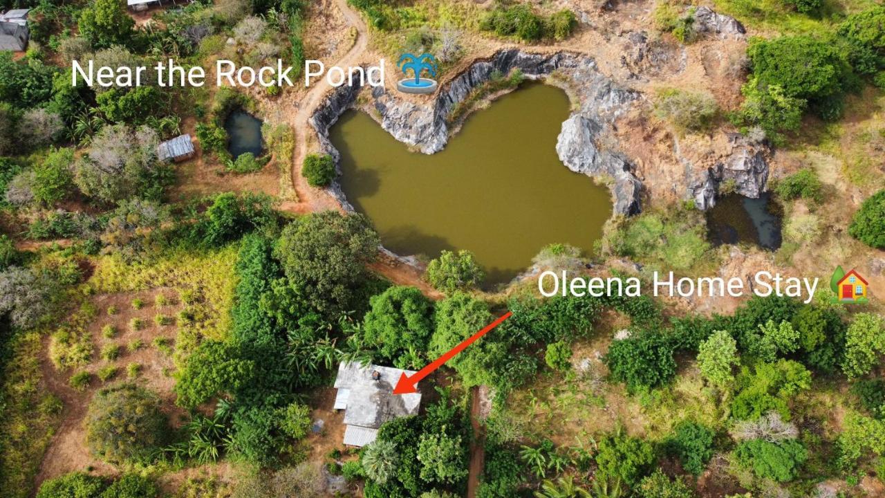 Oleena Home Stay 하바라나 외부 사진