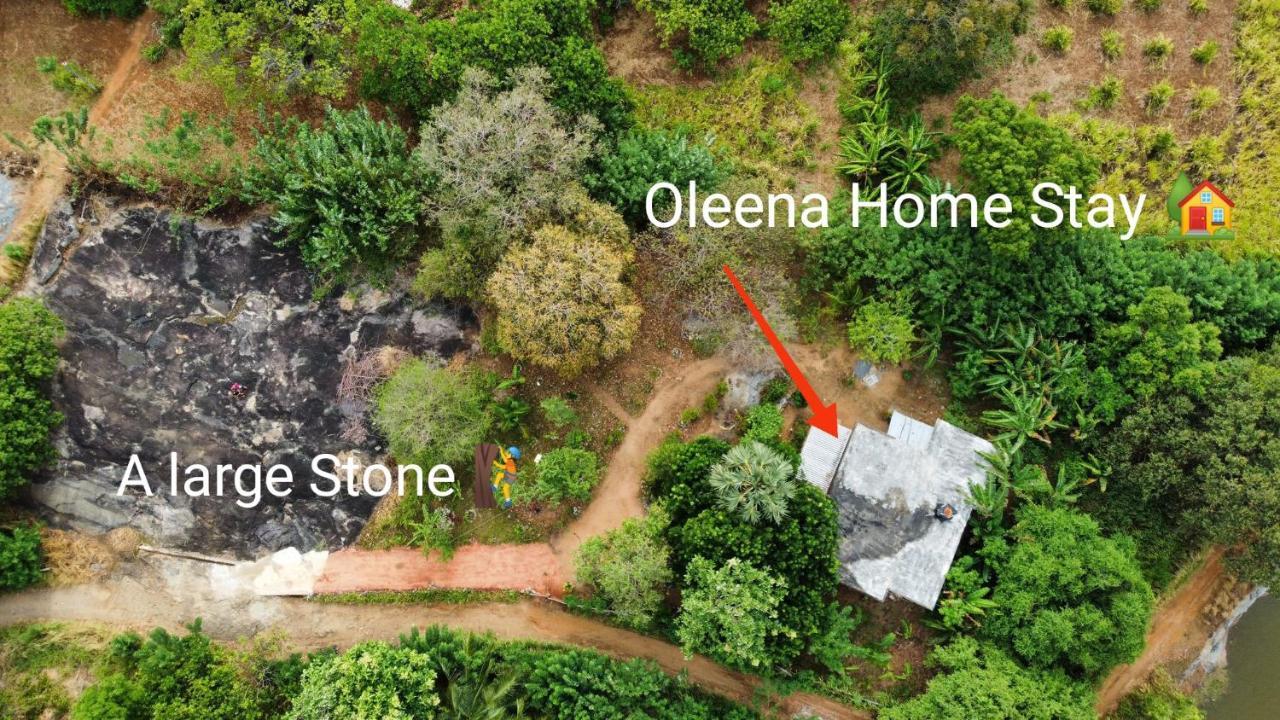 Oleena Home Stay 하바라나 외부 사진
