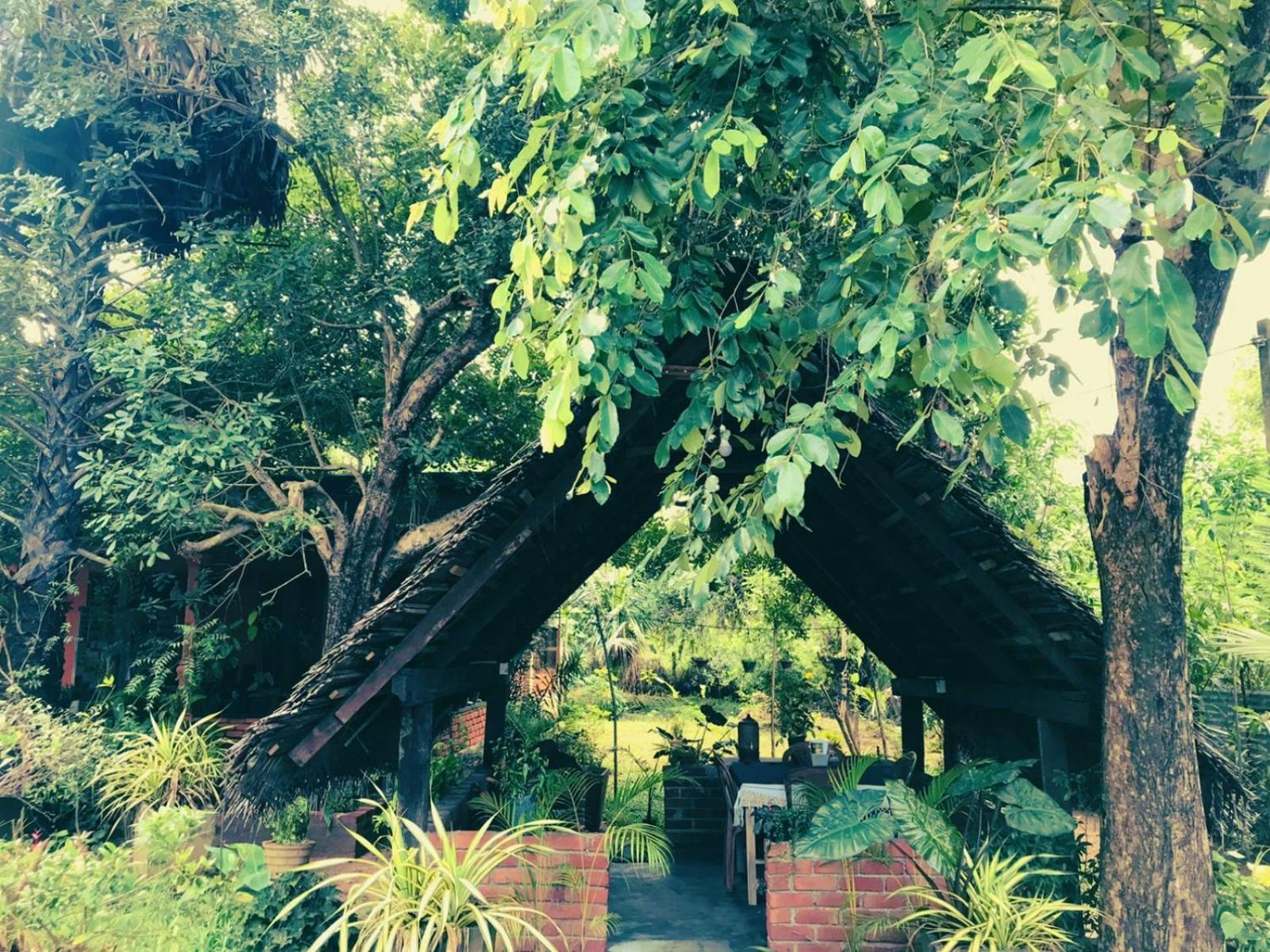 Oleena Home Stay 하바라나 외부 사진