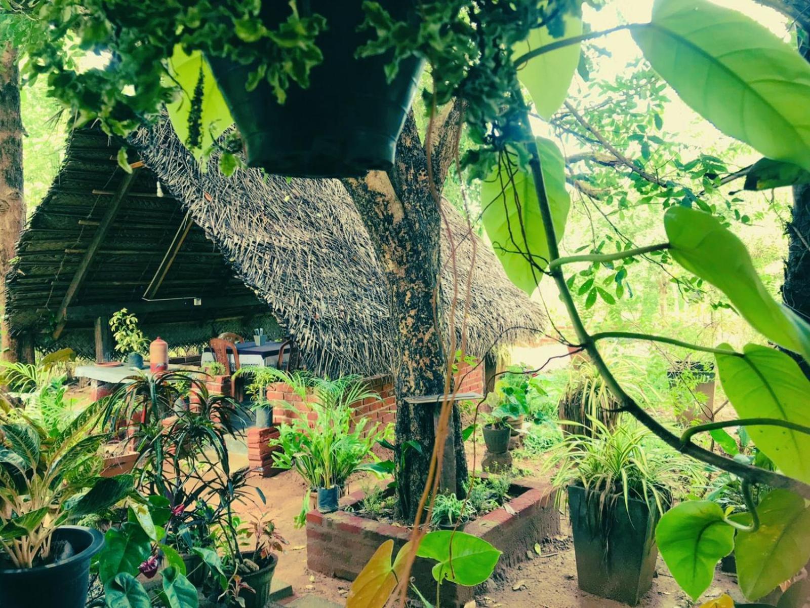 Oleena Home Stay 하바라나 외부 사진