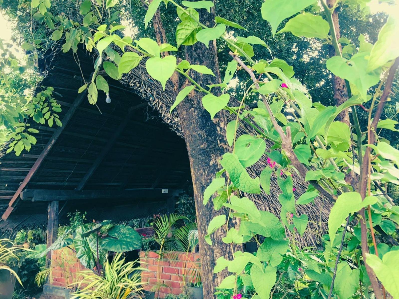 Oleena Home Stay 하바라나 외부 사진